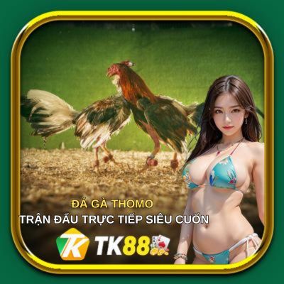 đá gà thomo-ảnh đại diện
