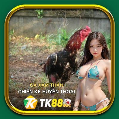 gà xám thần-ảnh đại diện