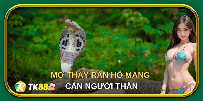 Mơ thấy rắn hổ mang là điềm gì ở trường hợp cắn người thân