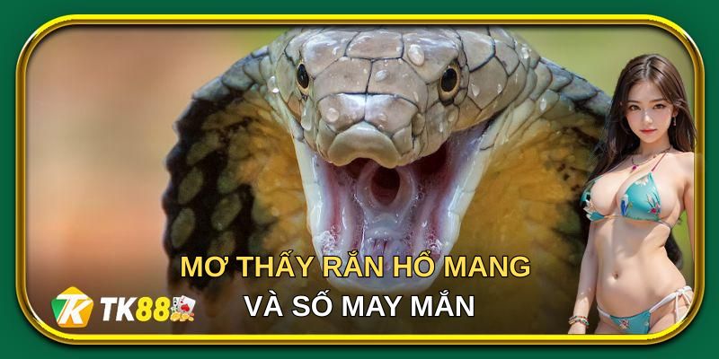 Mơ thấy rắn hổ mang là điềm gì và ý nghĩa trong lô đề