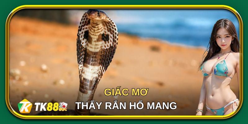 Vài thông tin về giấc mơ thấy rắn hổ mang là điềm gì