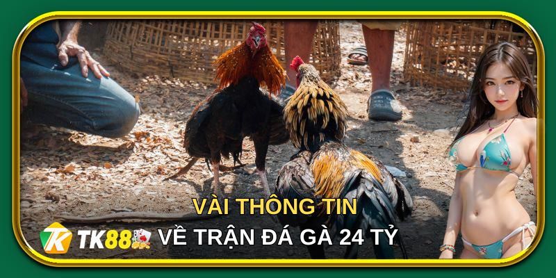 Vài thông tin tổng quan về trận đá gà 24 tỷ