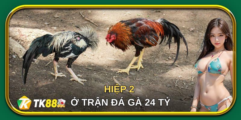 Mít Trà Cú là nhân vật nổi bật ở trận đá gà 24 tỷ